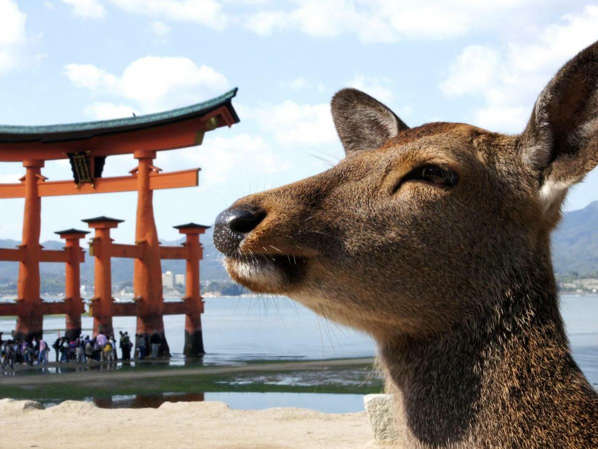 Global Resort Miyajima View Hatsukaichi Exterior photo